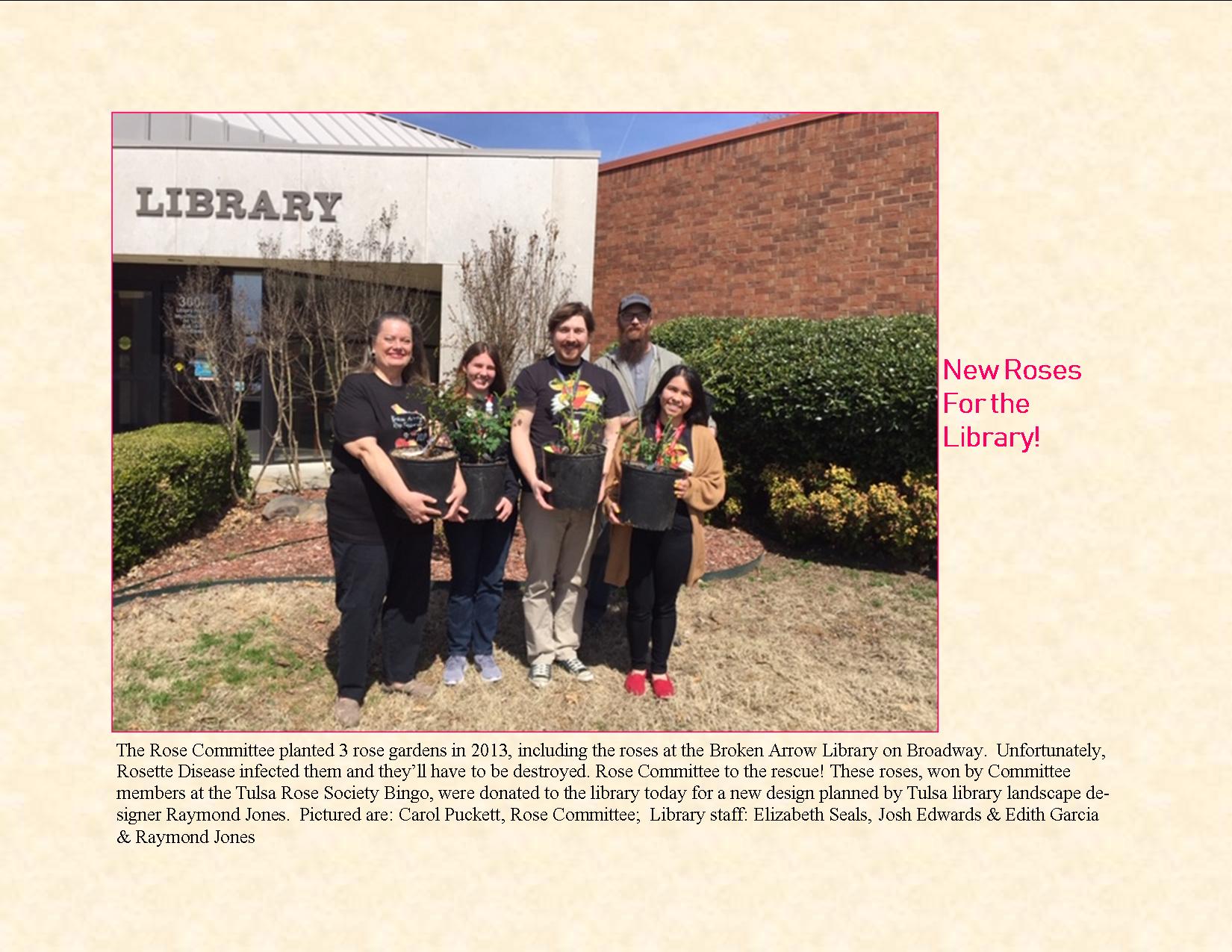 New Rose Bushes for the Library!