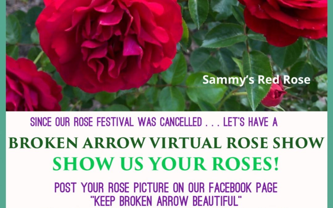 Broken Arrow Virtual Rose Show