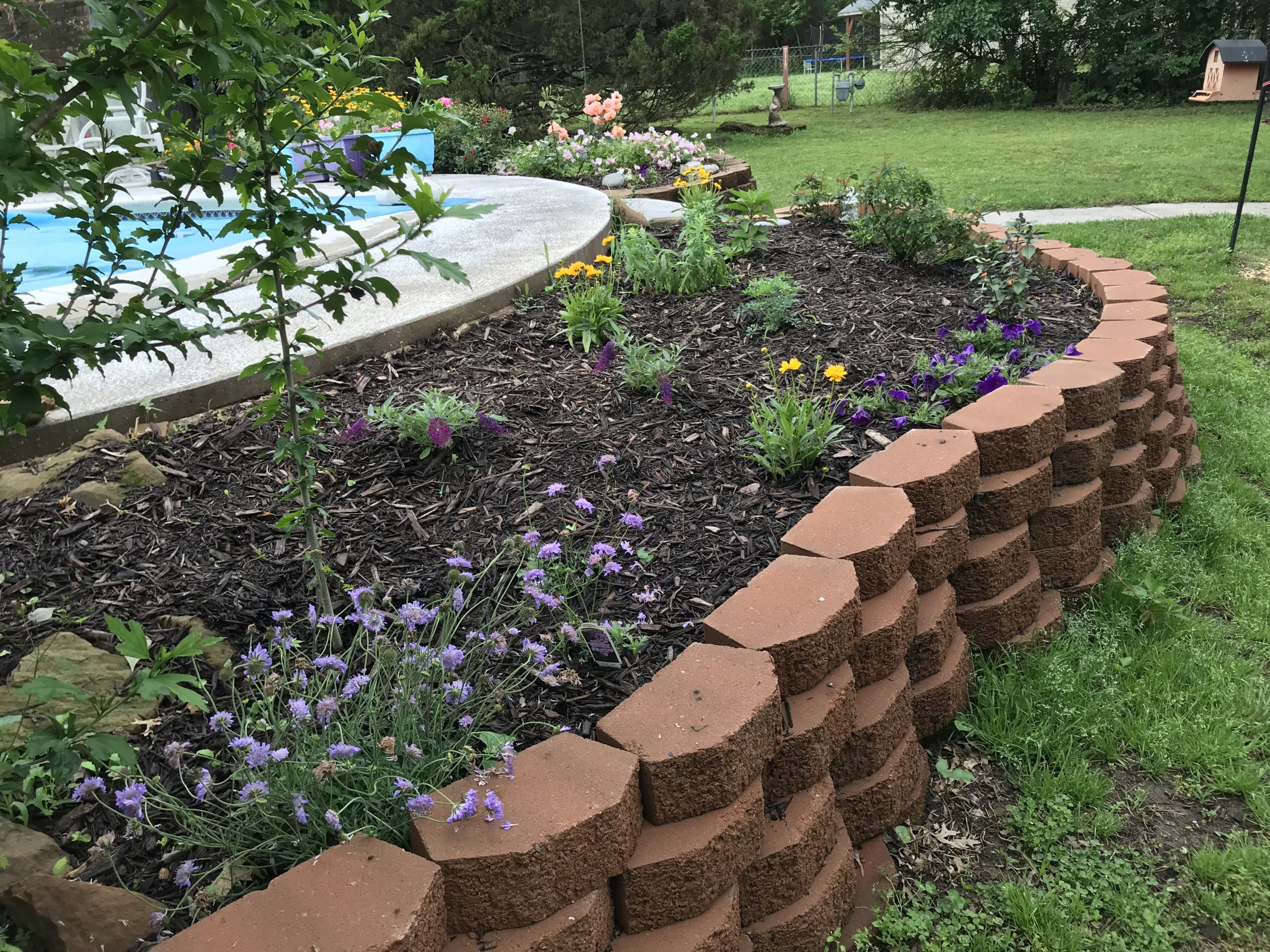 The New Gardens!