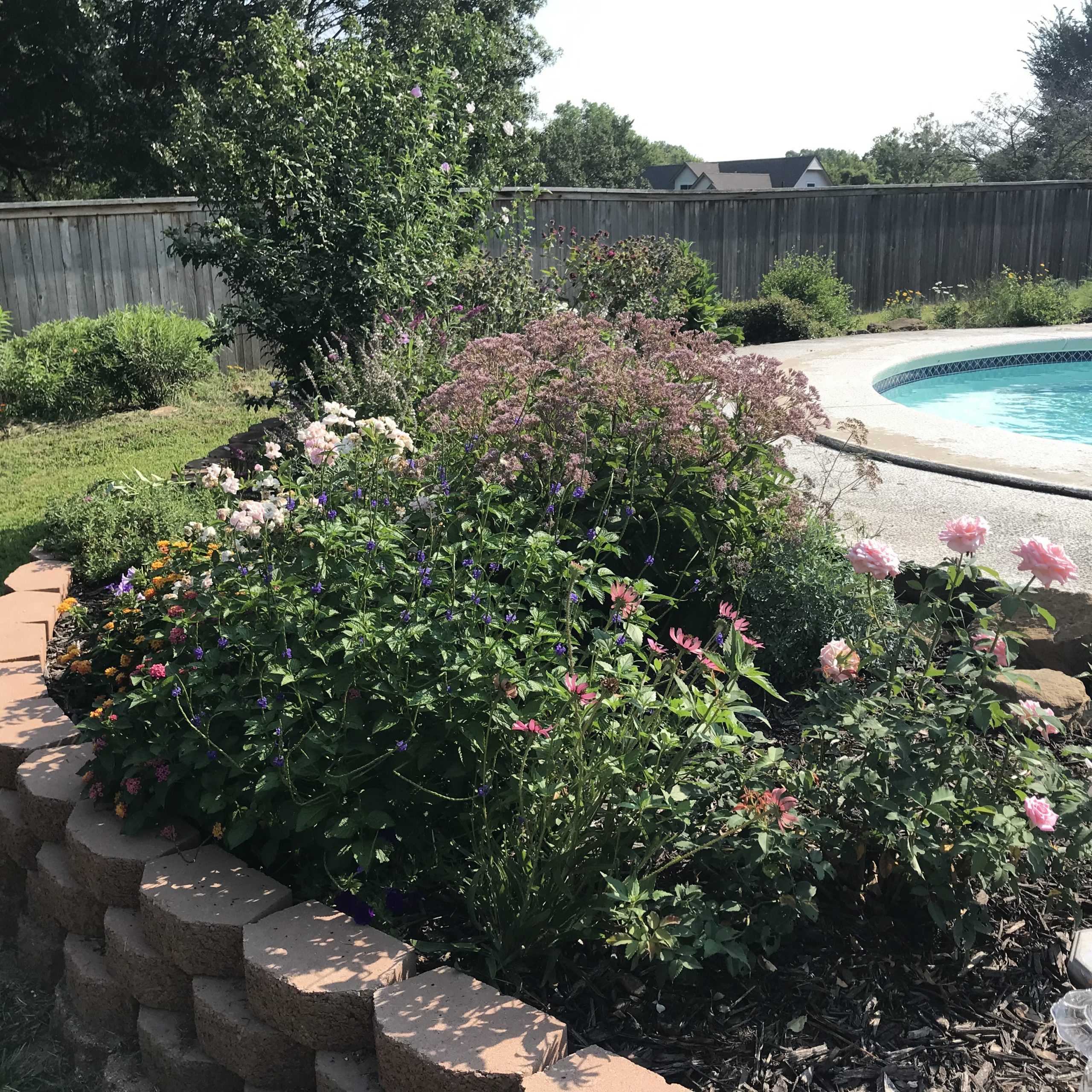 Grand Summer Garden!