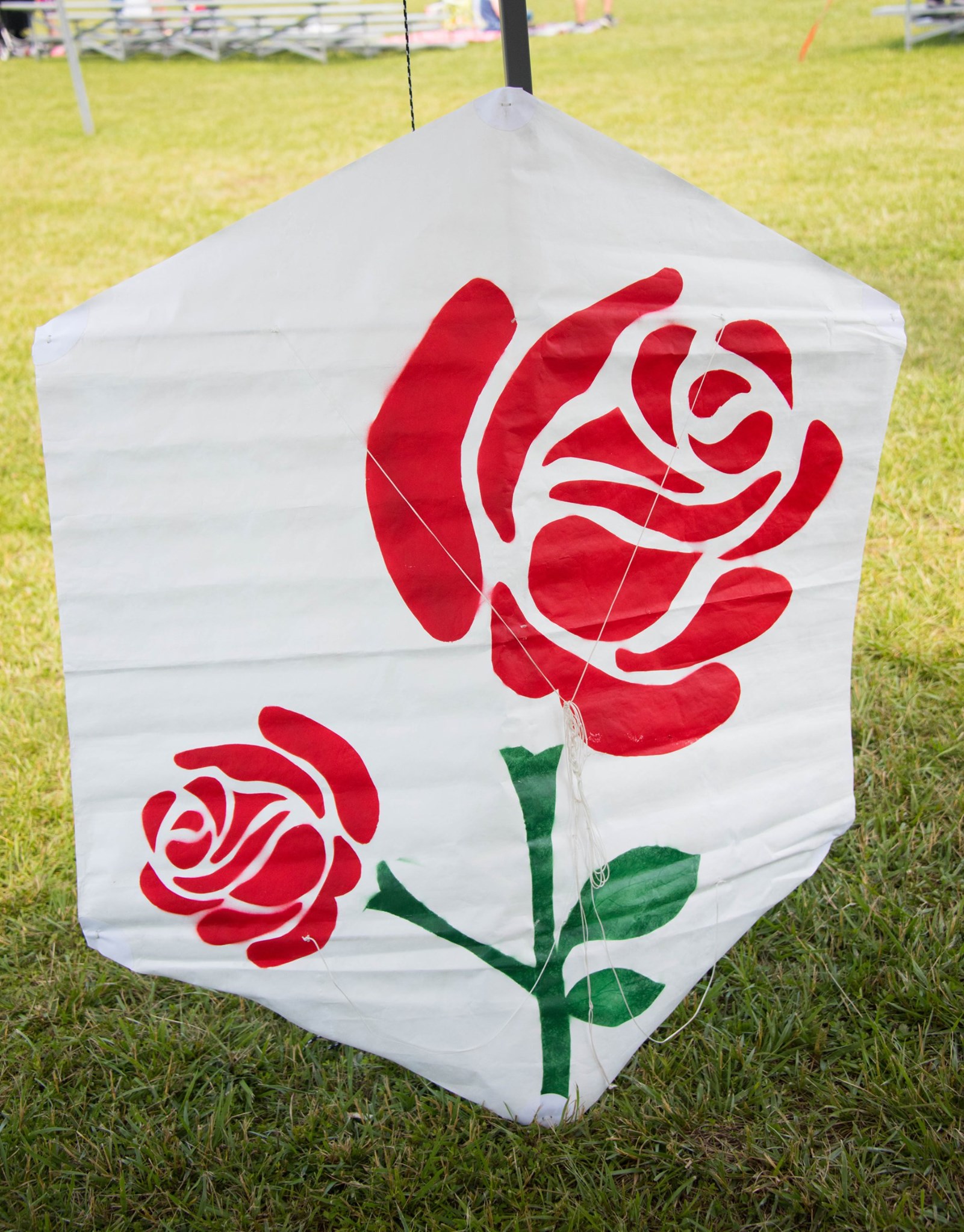Rose Kites Over Broken Arrow Kite