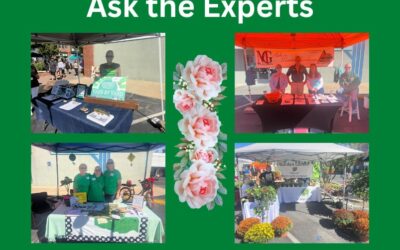 Ask the Experts at The Rose Festival!!!