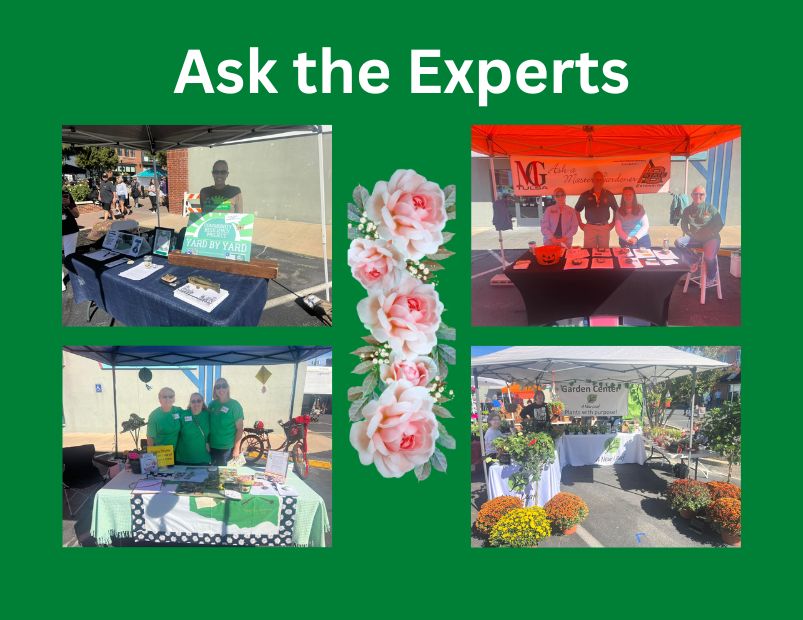 Ask the Experts at The Rose Festival!!!