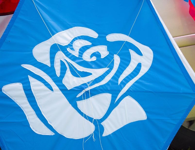 Blue Rose Kite