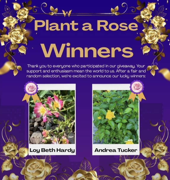 Plant a Rose Winners Announced